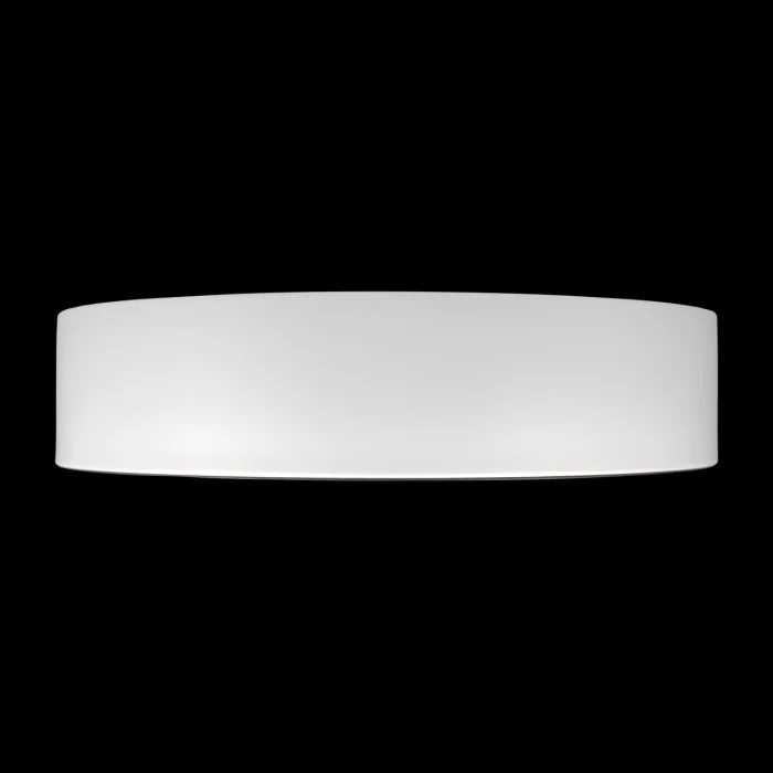 Потолочный светильник Loft it Coin 10202 WB