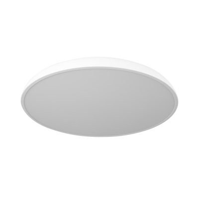 Потолочный светильник Loft it Dime 10371 White
