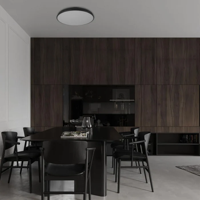 Потолочный светильник Loft it Dime 10371 White