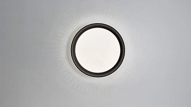 Настенно-потолочный светильник SONEX SHINY 3049/DL