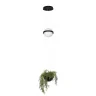 Подвесной светильник Loft it Jardin 10121/B