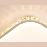 Потолочный светодиодный светильник с пультом и дополнительной подсветкой Ambrella light FF75