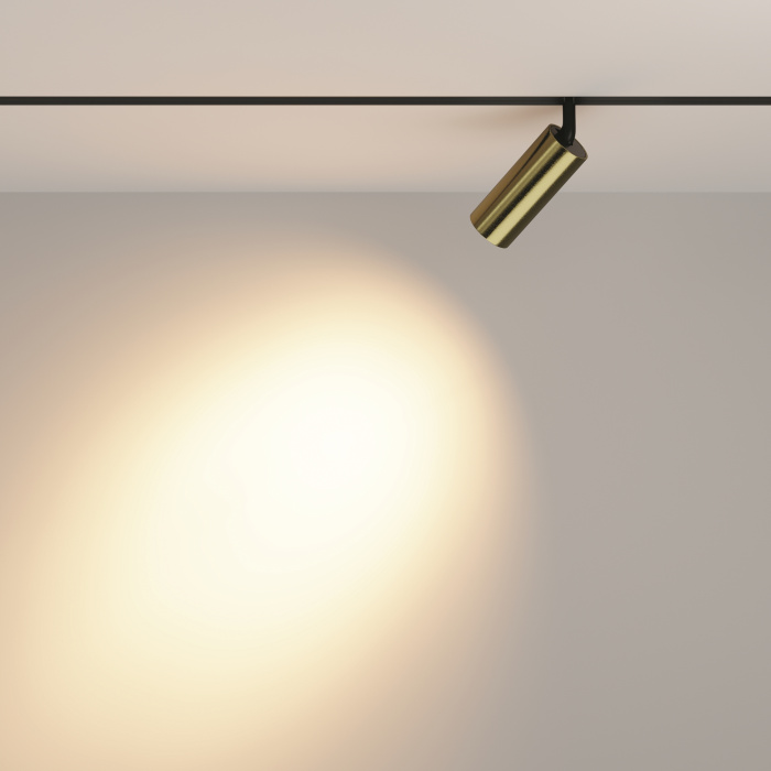 Трековый светильник Maytoni Focus LED TR032-2-12W3K-M-BBS