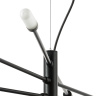Подвесная люстра RAGNO LIGHTSTAR 733187