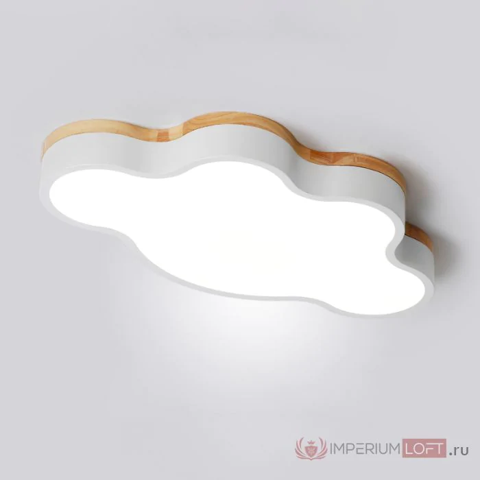 Потолочный светильник CLOUD ECO D63 White ImperiumLoft
