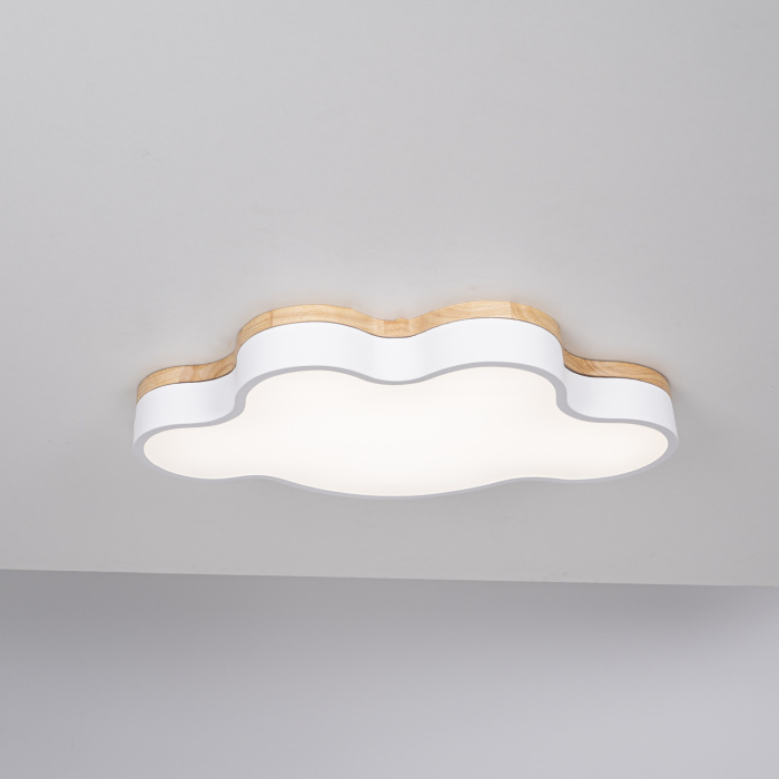 Потолочный светильник CLOUD ECO D63 White ImperiumLoft