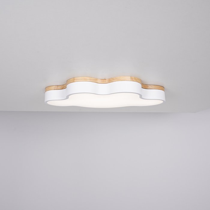 Потолочный светильник CLOUD ECO D63 White ImperiumLoft