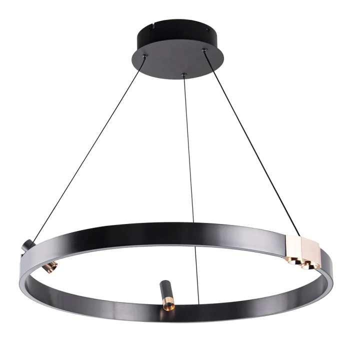 Светильник подвесной Arte Lamp CESARE A1993SP-30BK