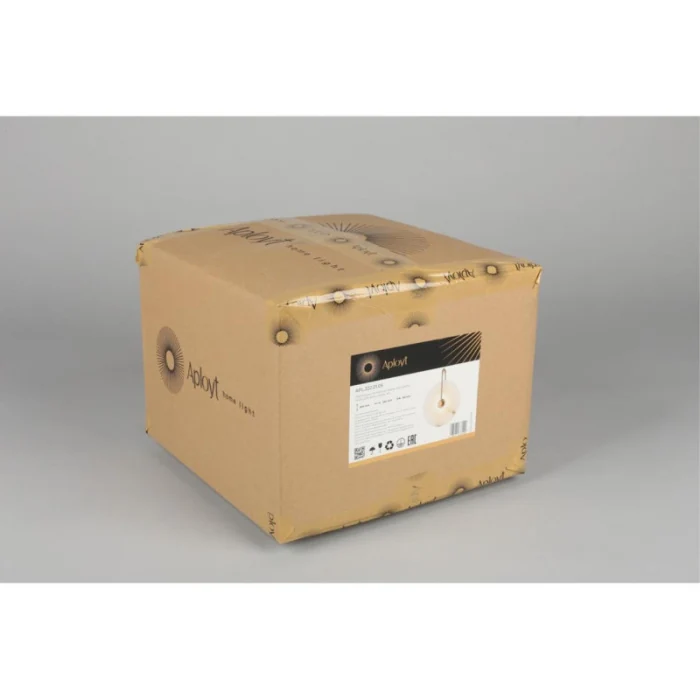 Светильник настенный Aployt Zhulen APL.322.01.05