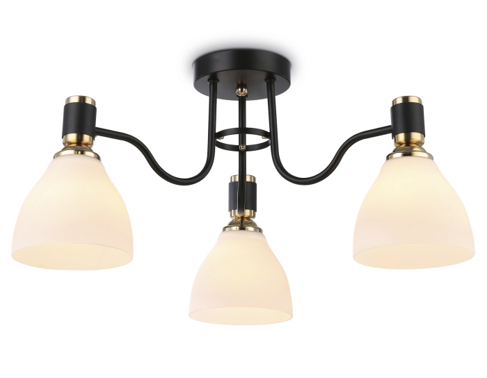 Потолочный светильник Ambrella light TR303303