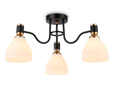 Потолочный светильник Ambrella light TR303303