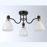 Потолочный светильник Ambrella light TR303303