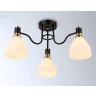 Потолочный светильник Ambrella light TR303303