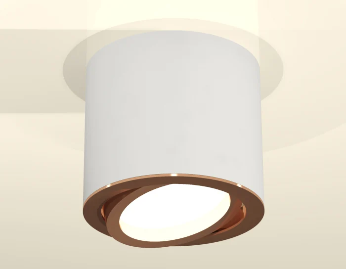 Комплект накладного поворотного светильника Ambrella light XS7401005