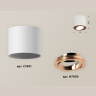 Комплект накладного поворотного светильника Ambrella light XS7401005