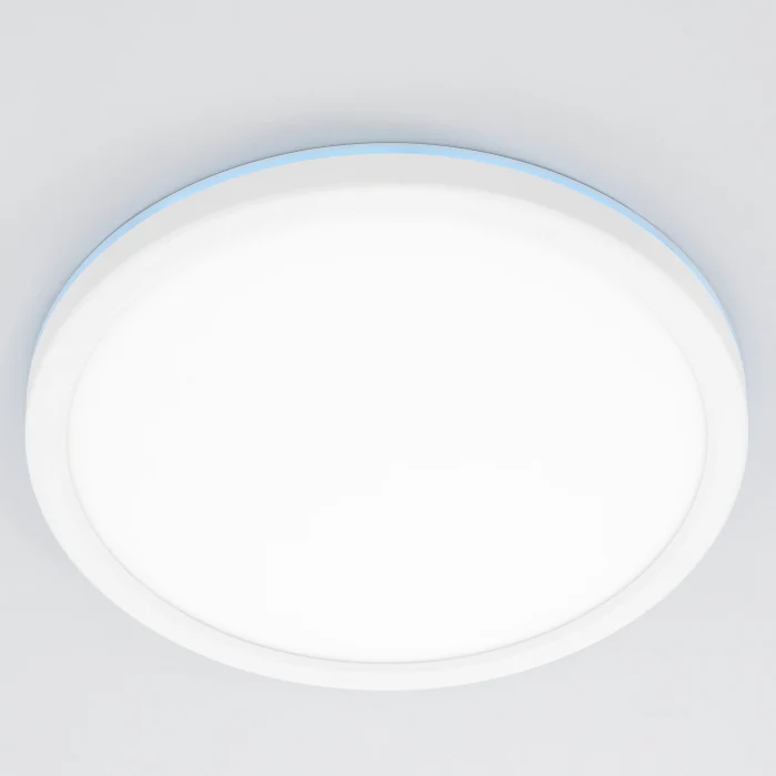 Светильник накладной Citilux Basic Line CL738240EL