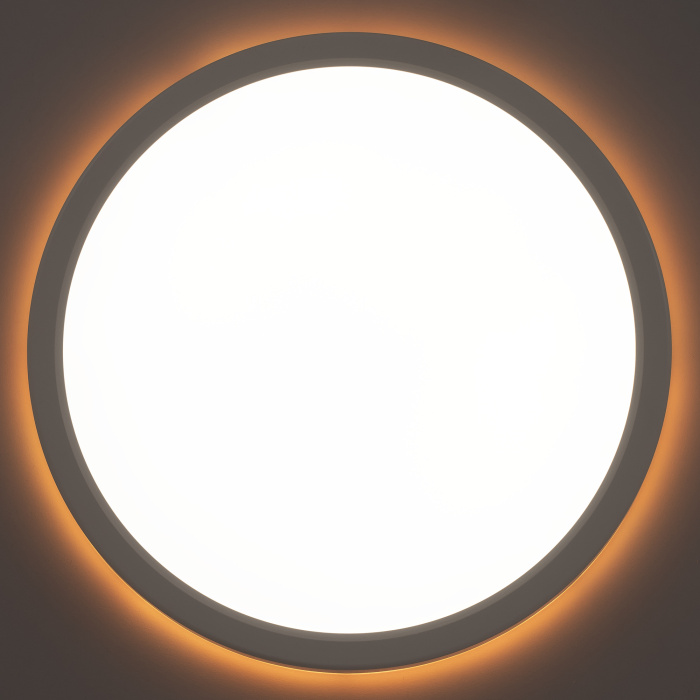 Светильник накладной Citilux Basic Line CL738240EL