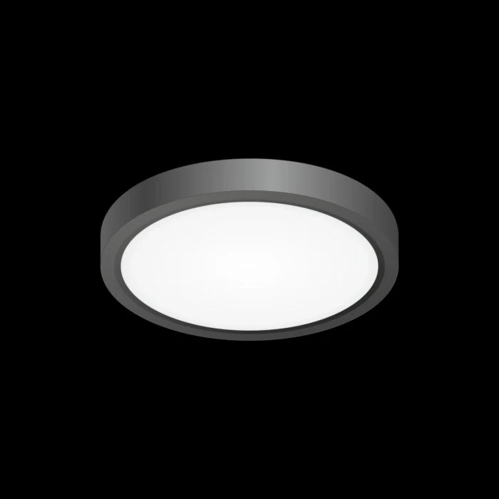 Светильник потолочный Citilux Бейсик CL738121N
