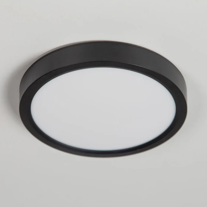 Светильник потолочный Citilux Бейсик CL738121N