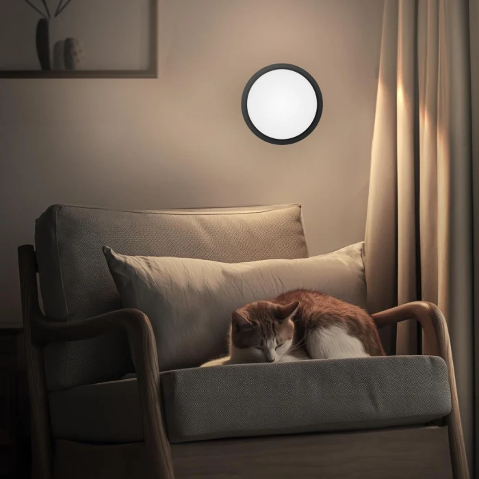 Светильник потолочный Citilux Бейсик CL738121N