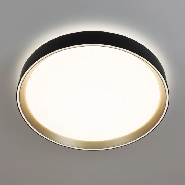Потолочный светильник Citilux Boss CL751351G