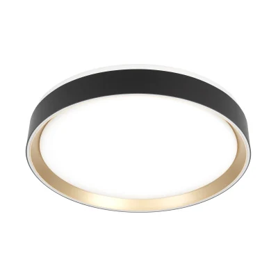 Светильник потолочный Citilux BOSS CL751351G