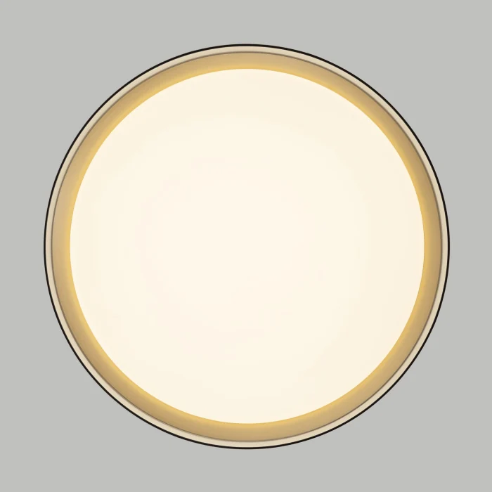 Светильник потолочный Citilux BOSS CL751351G