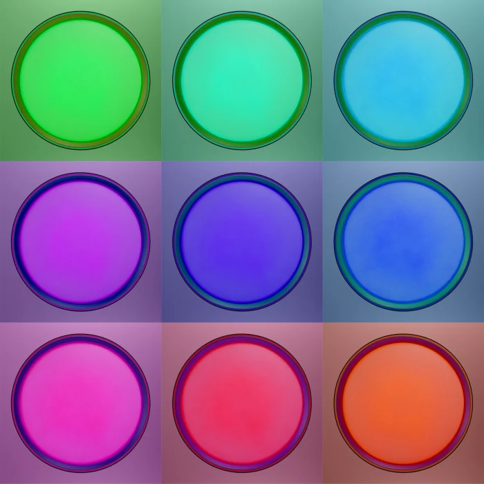 Светильник потолочный Citilux BOSS CL751351G