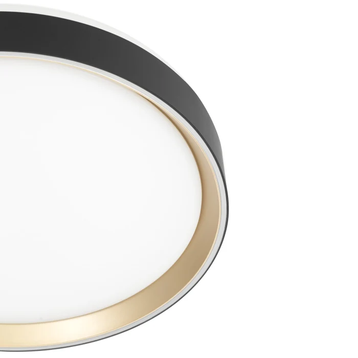 Светильник потолочный Citilux BOSS CL751351G