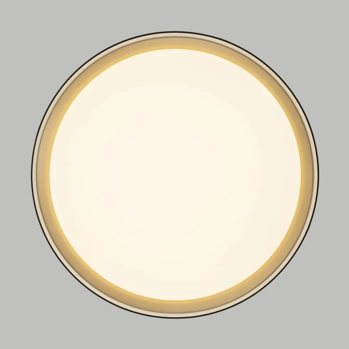 Потолочный светильник Citilux Boss CL751351G