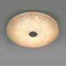 Потолочный светильник Lightstar Arco iii 225530