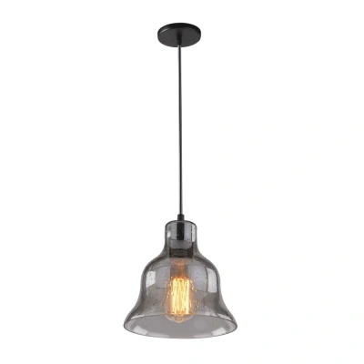 Подвесной светильник Arte Lamp Amiata A4255SP-1SM