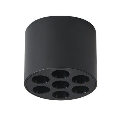 Накладной светильник Lightstar Guarda 80647