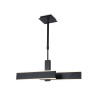 Подвесной светодиодный светильник Ambrella light FA6667