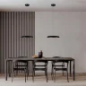 Подвесной светильник Loft it Dime 10371P Black