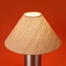 Настольная лампа Freya Zoe FR5632TL-01N