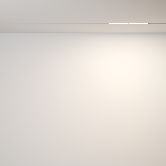 Трековый светильник Maytoni Parete TR106-2-12W3K-W