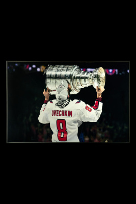 Картина Teona Decor Hockey TD233