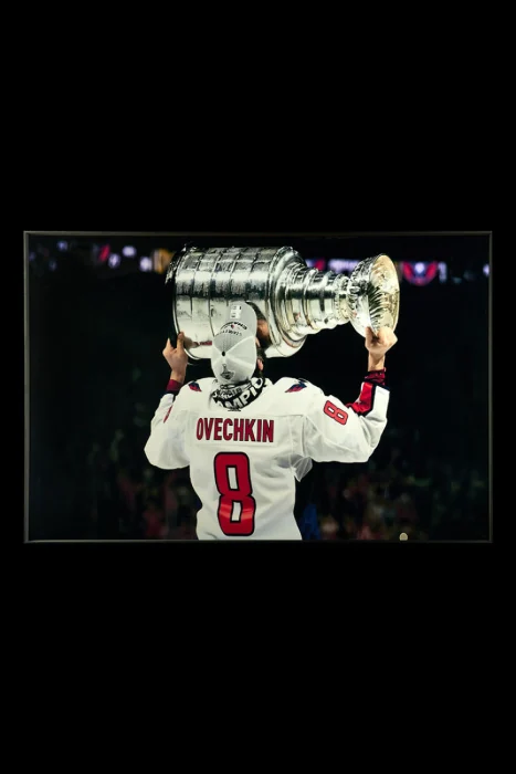 Картина Teona Decor Hockey TD233