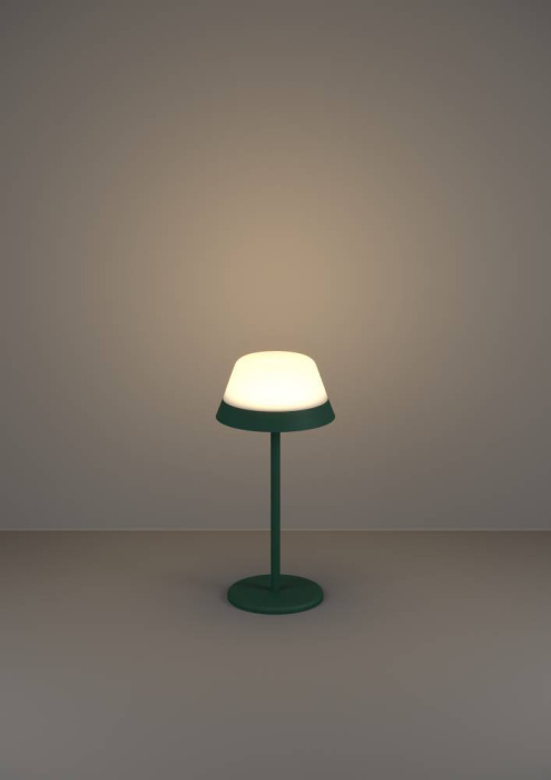 Настольная лампа EGLO MEGGIANO 900981