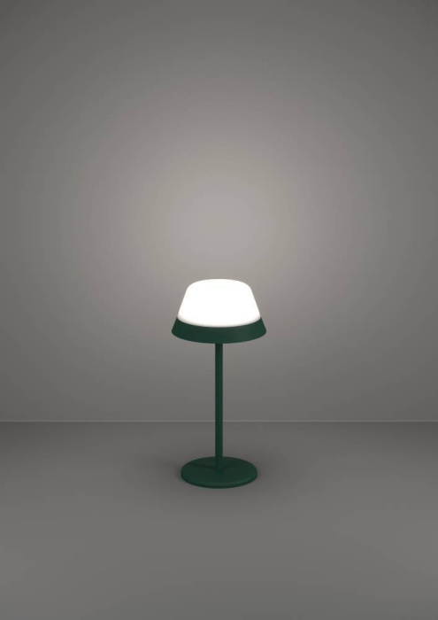 Настольная лампа EGLO MEGGIANO 900981