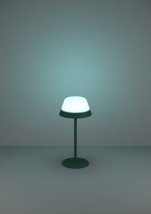 Настольная лампа EGLO MEGGIANO 900981