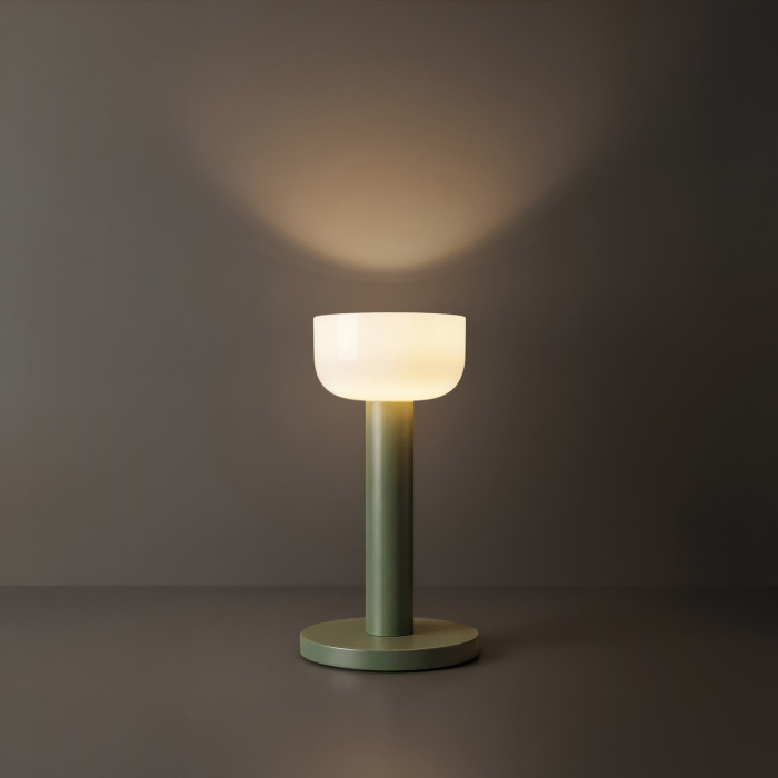 Настольная лампа Freya Barries FR6185TL-L5GN