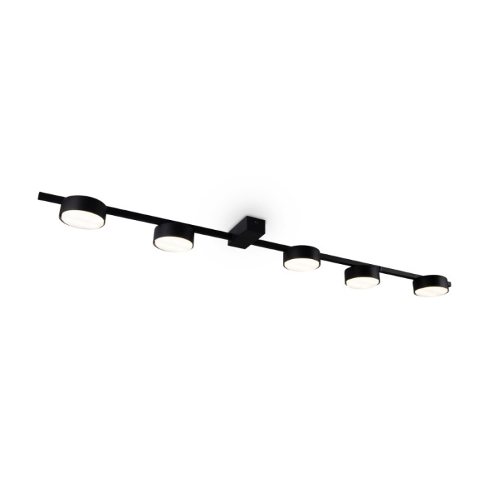 Потолочный светильник Freya Tactic FR5363CL-05B