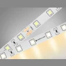 Светодиодная лента Ambrella Light GS3001 2835 60Led /6W m/ 24V IP20 3000K 5m Ambrella light GS3001