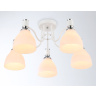 Потолочный светильник Ambrella light TR303305