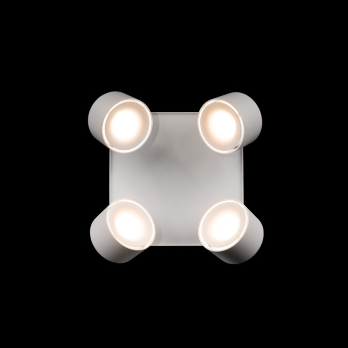 Потолочный светильник LOFT IT Case 10326 White