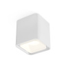 Комплект накладного светильника с акрилом Ambrella light XS7840021