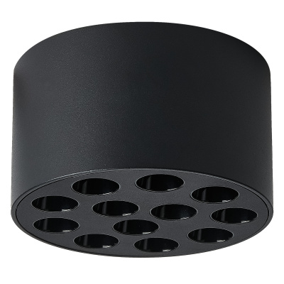 Накладной светильник Lightstar Guarda 80947