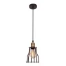 Подвесной светильник Loft it Ancient cage LOFT1114
